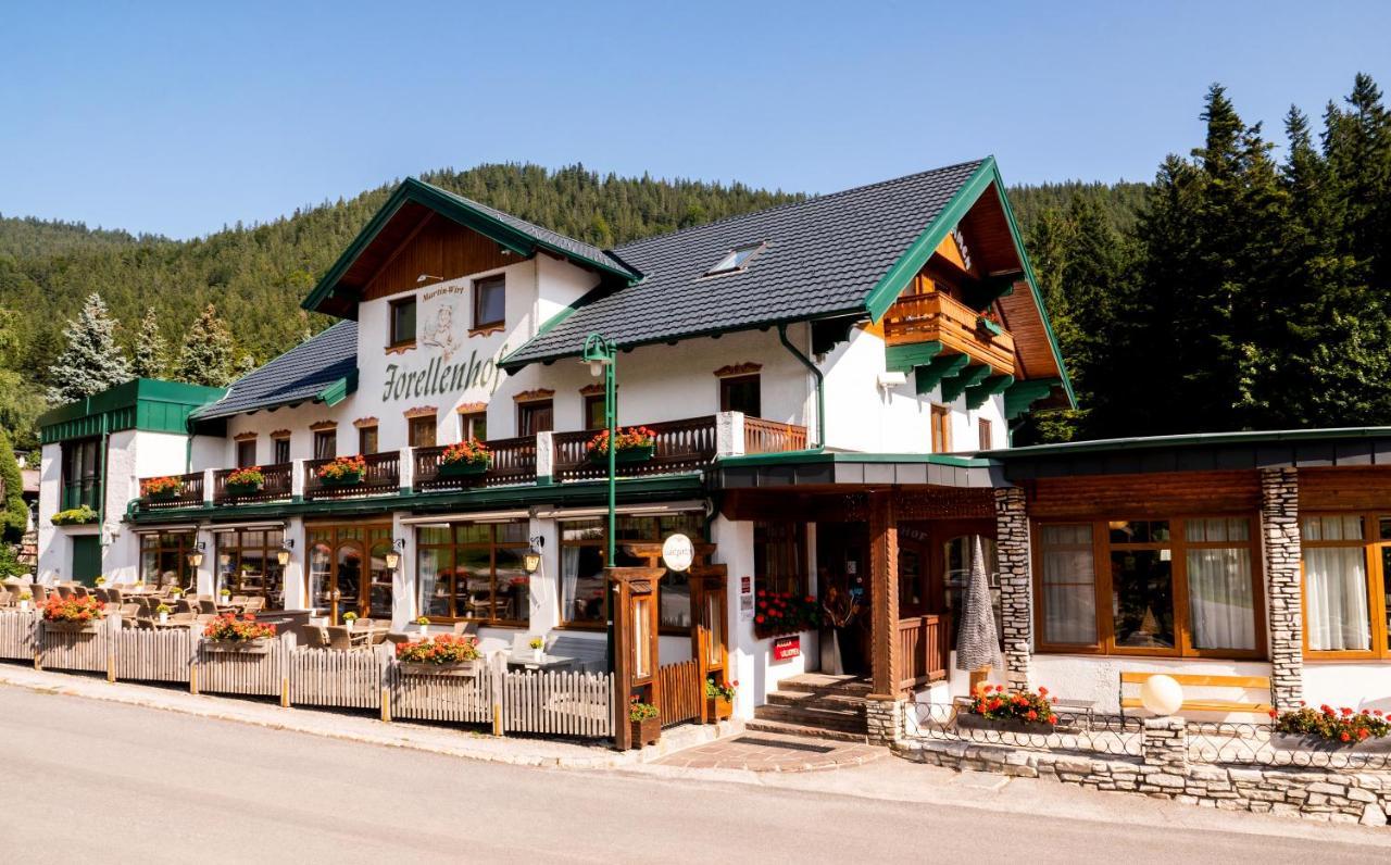 Hotel Hotel-restaurant Forellenhof